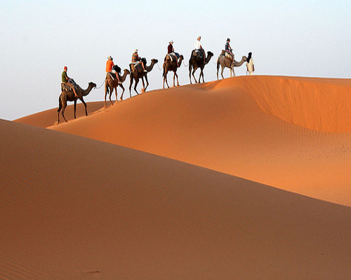 ONE NIGHT CAMEL TREK