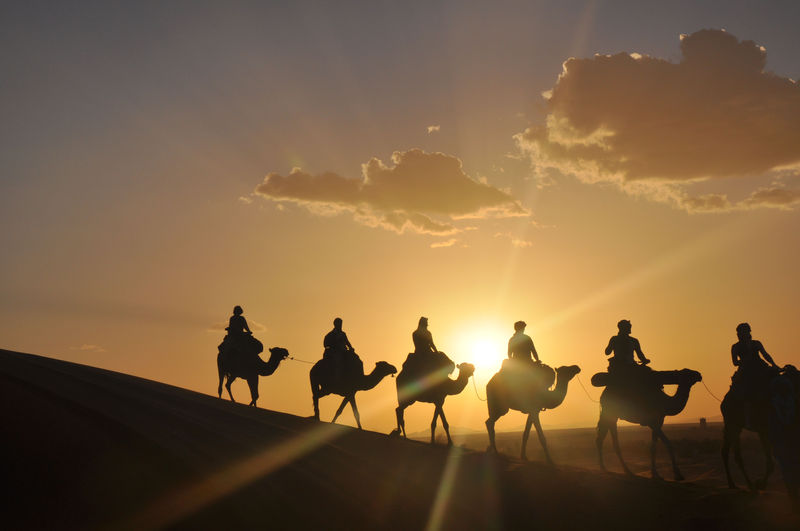 EXCURSIÓN EN CAMELLO Y LA PUESTA DEL SOL