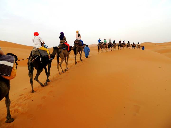 1 DAY CAMEL TREK